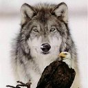 ���� ����, ������, 55 ��� - ��������� 25 ���� 2012 � ������ ���� ����������