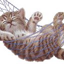 ���� ������ �����, ������, 24 ���� - ��������� 9 ���� 2011 � ������ ������