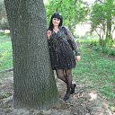 ���� �������, ��������� - ��������� 8 ��� 2013 � ������ ���� ����������