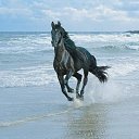 ���� ���, �������, 67 ��� - ��������� 15 ������� 2011 � ������ ��������))�