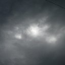  , , 36  -  16  2010    .   2010