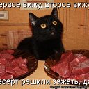 ���� ����, �����, 50 ��� - ��������� 19 ���� 2010 � ������ ������������