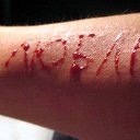 ���� ���������, ������, 32 ���� - ��������� 24 ������ 2013