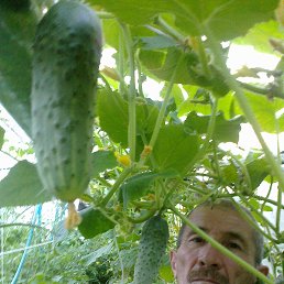 ���� ����, ���������, 69 ��� - ��������� 23 ���� 2013