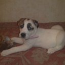 ���� ���, ������, 50 ��� - ��������� 10 �������� 2010 � ������ ������� ��......�