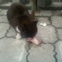 ���� V�������, ��������� - ��������� 26 ������� 2010 � ������ �������,������ ���� )))�