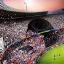 ���� ����, �����������, 41 ��� - ��������� 8 ������� 2010 � ������ ���� ����������