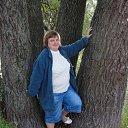  , , 50  -  19  2009    ߻