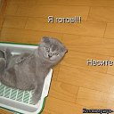 ���� ����, �������, 54 ���� - ��������� 11 ������� 2012 � ������ �������