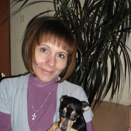 �������, ����������, 54 ����