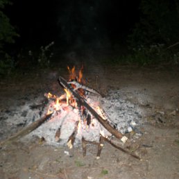 ���� ������, �����, 42 ���� - ��������� 18 ������� 2011