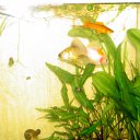 ���� Aleksandr, ���������, 46 ��� - ��������� 4 ������ 2010 � ������ ������ ������