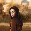 ���� &deg;&bull;*������&deg;&bull;*, ����������, 23 ���� - ��������� 3 ������� 2010 � ������ ������ �����