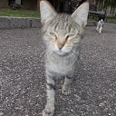 ����� ����� ����� �� ��� ���������� ��� �������� �� ������� ������� 2012�