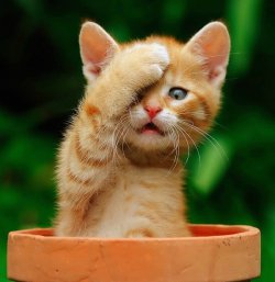 ���� Vlad, ������, 53 ���� - ��������� 19 ������ 2011