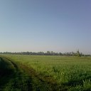 ���� ������, ������, 62 ���� - ��������� 31 ������� 2013 � ������ ���� ����������