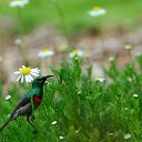  Loseff Yurij, , 63  -  10  2013   