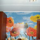 ���� �������, ������, 45 ��� - ��������� 18 ������� 2014 � ������ ���� ����������