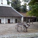 ���� ������, ������������, 68 ��� - ��������� 23 ������� 2013 � ������ ���� ����������