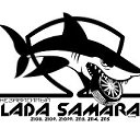 ���� ������, �����, 47 ��� - ��������� 11 ������� 2014 � ������ ���� ����������