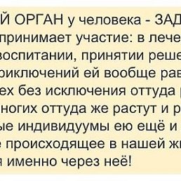 ���� ������, �������, 61 ��� - ��������� 14 ������� 2014