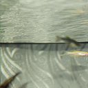 ���� V�������, ��������� - ��������� 18 ������� 2013 � ������ �������