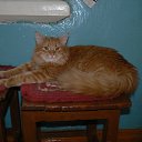 ���� �������, ������������ - ��������� 18 ������ 2014 � ������ ���������