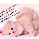  , - -  3  2013    