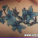  , , 42  -  25  2013   tatu
