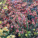 ���� ������, ������, 57 ��� - ��������� 9 �������� 2013 � ������ ���������