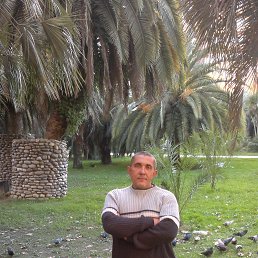 ���� �����, ����, 56 ��� - ��������� 11 ������� 2013