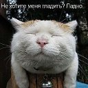  ! -


 !  
          