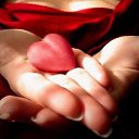 ���� �������, ���������, 42 ���� - ��������� 2 ����� 2014 � ������ ���� ����������