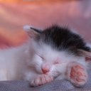 ���� ���, ������, 22 ���� - ��������� 24 ������ 2014 � ������ ���� ����������