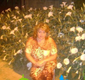  : .....!!!!!!! - @, 