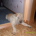 ���� !!!������!!!, �����������, 52 ���� - ��������� 24 �������� 2013 � ������ ����-��� ���)))�
