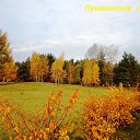  , , 68  -  14  2013    ...