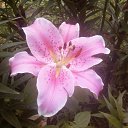 ���� ��������, ����� - ��������� 3 ����� 2014 � ������ ��฻