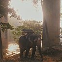 ���� Dreamcatcher, ����� - ��������� 5 ������ 2013 � ������ ����))�