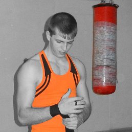 ���� [Kobra], ��������