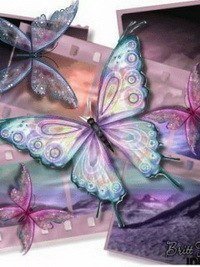 �����, ������, 43 ����