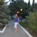  , , 56  -  19  2013   -2013