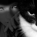 ���� �������, ���������, 42 ���� - ��������� 18 ������ 2014 � ������ ���� ����������