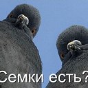 ���� ���), �����������, 24 ���� - ��������� 11 �������� 2013 � ������ ���� ����������