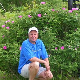 �����, ������, 70 ���