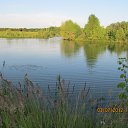 ���� �������, ������, 51 ��� - ��������� 15 ������ 2014 � ������ ���� ����������