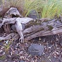 ���� ������, ������� ���� - ��������� 8 ������� 2013 � ������ ���� ����������