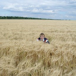 ������, ������, 36 ���