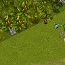 ���� &dagger;Deanmon, ������ - ��������� 1 ������� 2013 � ������ �Tropikania�