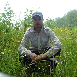 ���� �������, �����������, 43 ���� - ��������� 7 ������� 2013